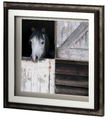 Horse in Barn