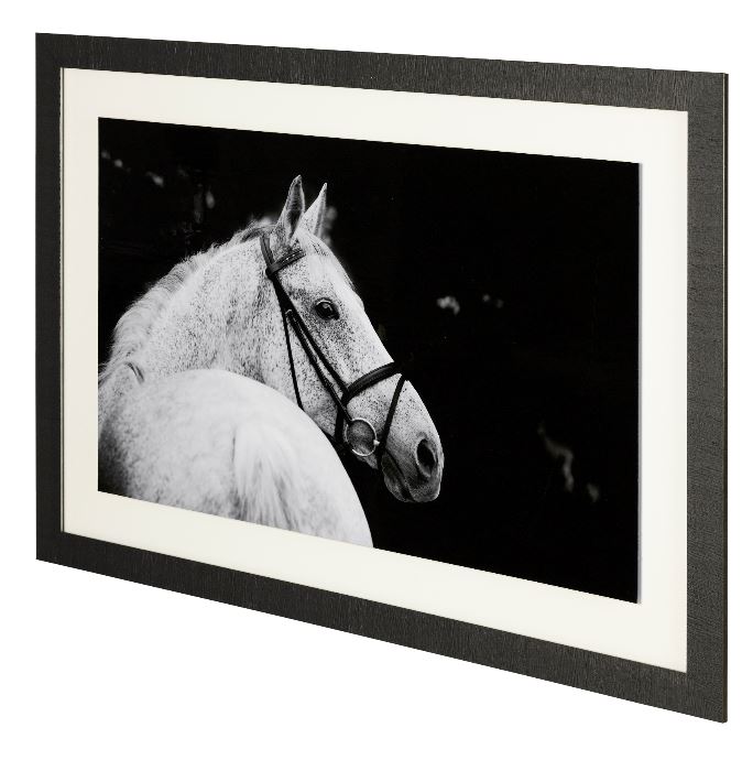 Bridled Horse