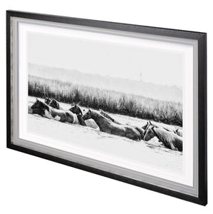 Waterhorses